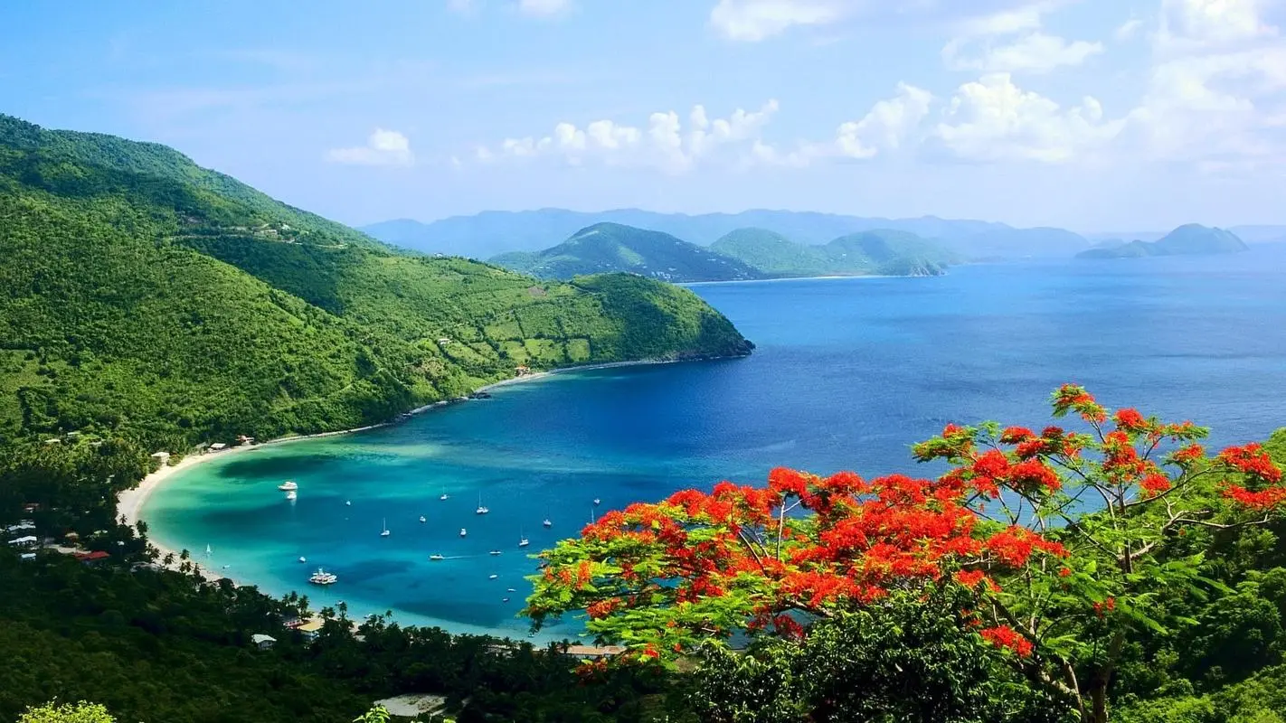 高效高标准自动化